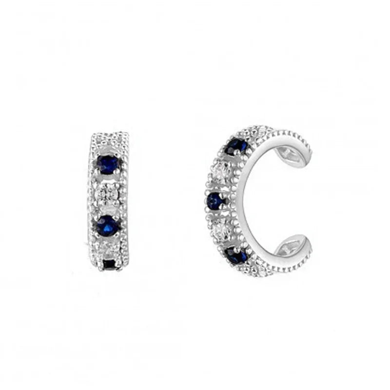 Europe and the United States cross-border luxury zircon earrings earrings fashion exquisite explosions ins wind earrings jewelry suit wholesale