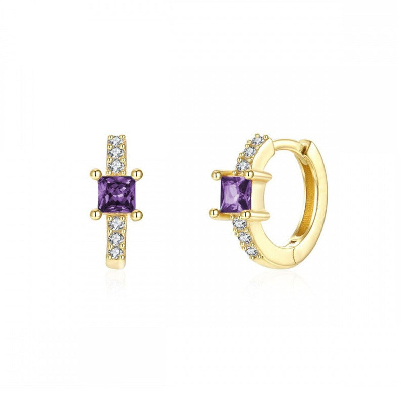 Europe and the United States cross-border luxury zircon earrings earrings fashion exquisite explosions ins wind earrings jewelry suit wholesale