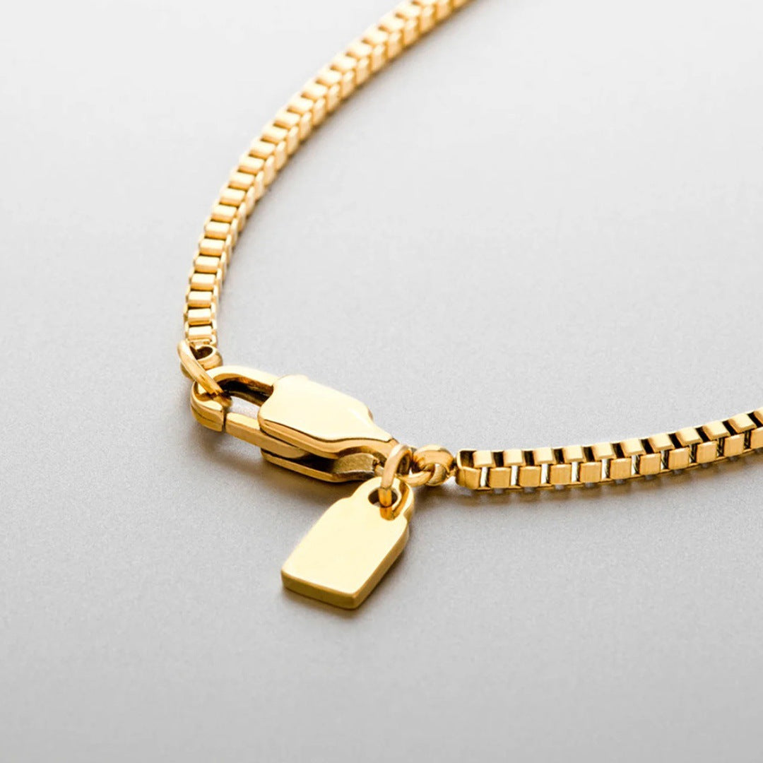 Cross-border New Entry Luxury Stainless Steel Box Chain Necklace Clavicle Chain Personalized Trendy Personalized All-match Jewelry