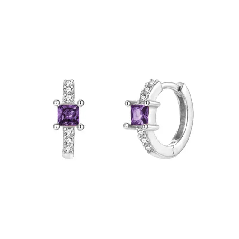 Europe and the United States cross-border luxury zircon earrings earrings fashion exquisite explosions ins wind earrings jewelry suit wholesale